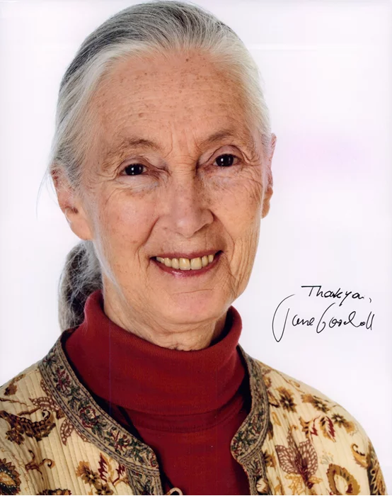 Jane Goodall autograph