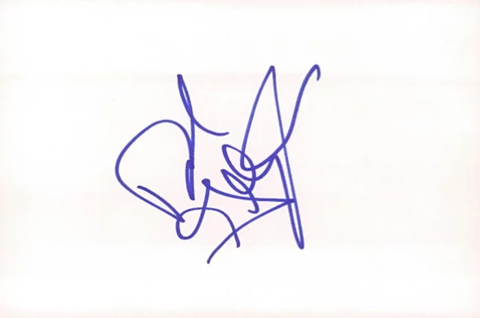 David Gallagher autograph