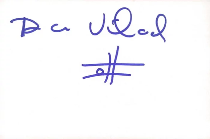 Bruce Vilanch autograph