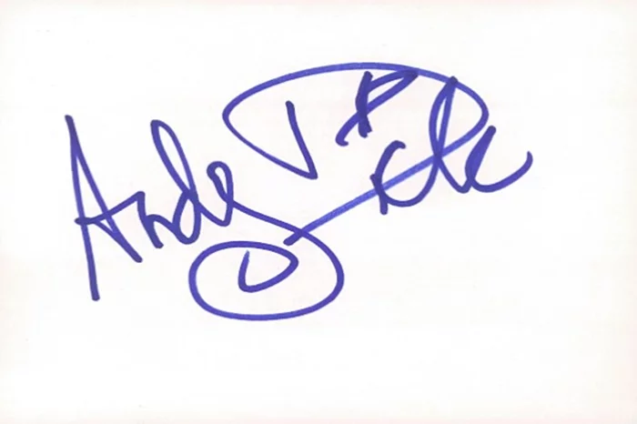 Andy Dick autograph