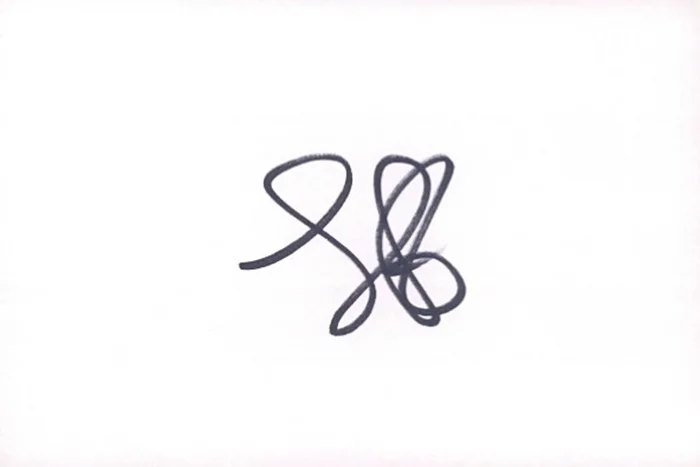 Mary Lynn Rajskub autograph