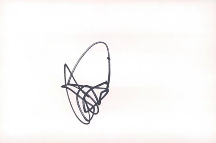 Ashlee Simpson autograph