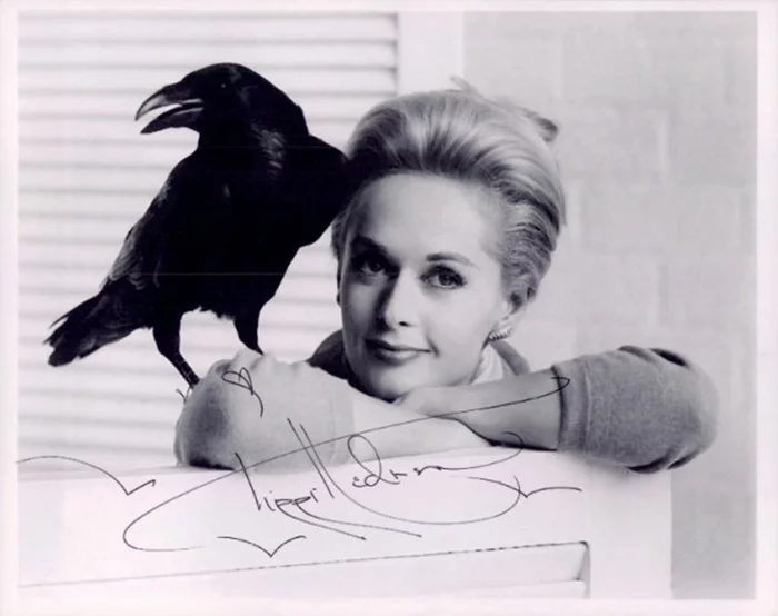 Tippi Hedren autograph