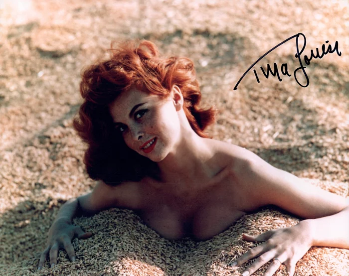 Tina Louise autograph