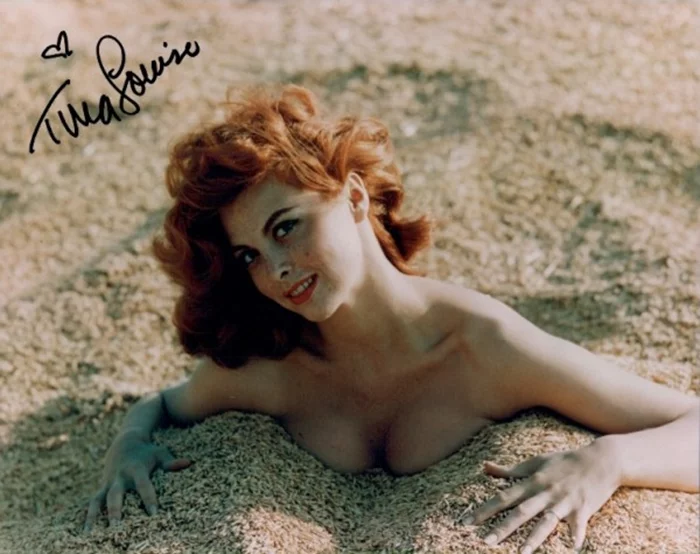 Tina Louise autograph