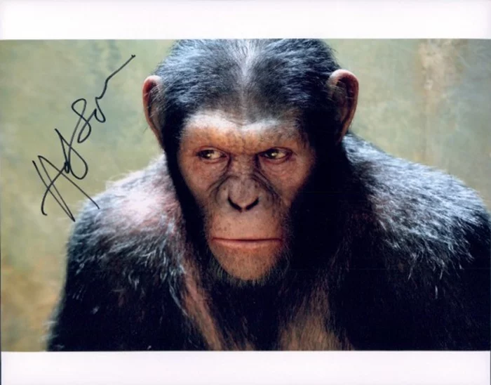 Andy Serkis autograph