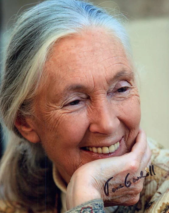 Jane Goodall autograph