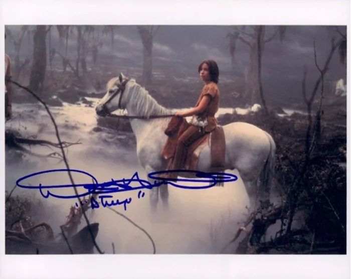 Noah Hathaway autograph