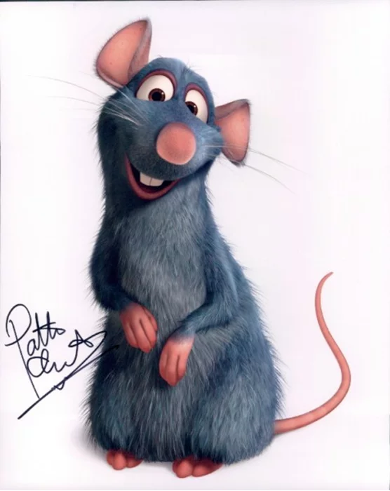 Patton Oswalt autograph