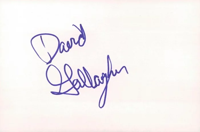 David Gallagher autograph