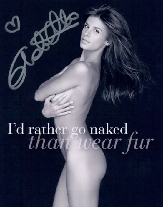 Elisabetta Canalis autograph
