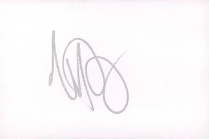 Vincent Piazza autograph