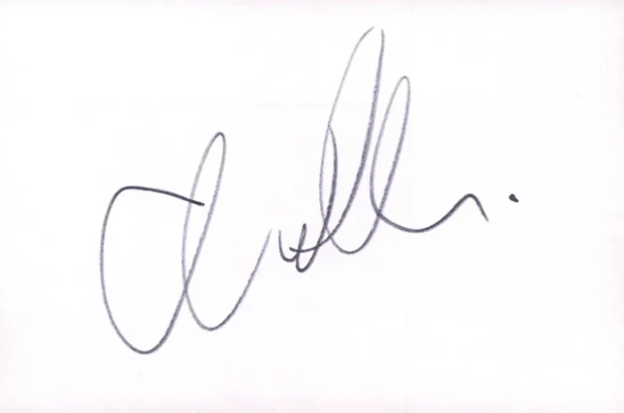 Chris  D'Elia autograph