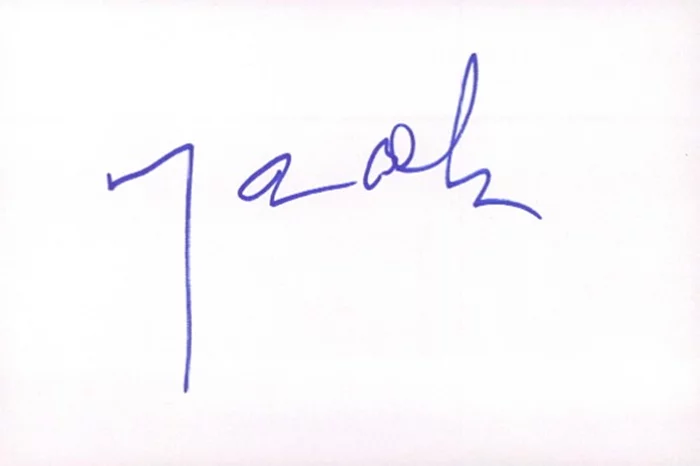 Michael Ian Black autograph