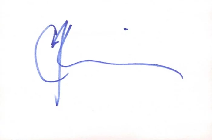 Chris Klein autograph