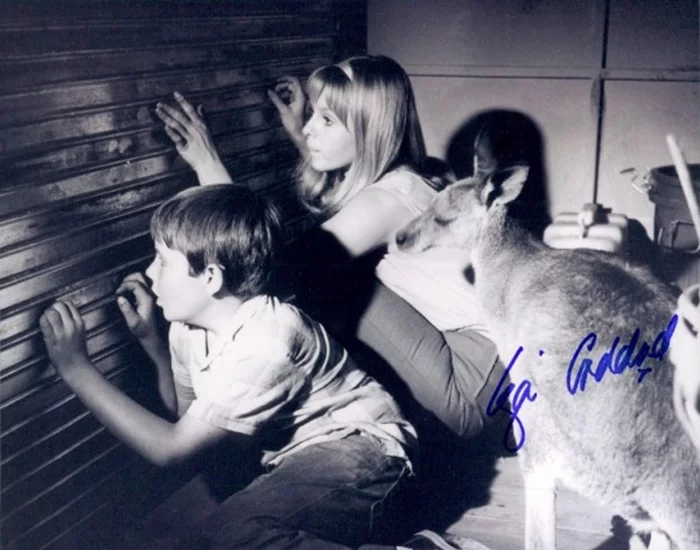 Liza Goddard autograph