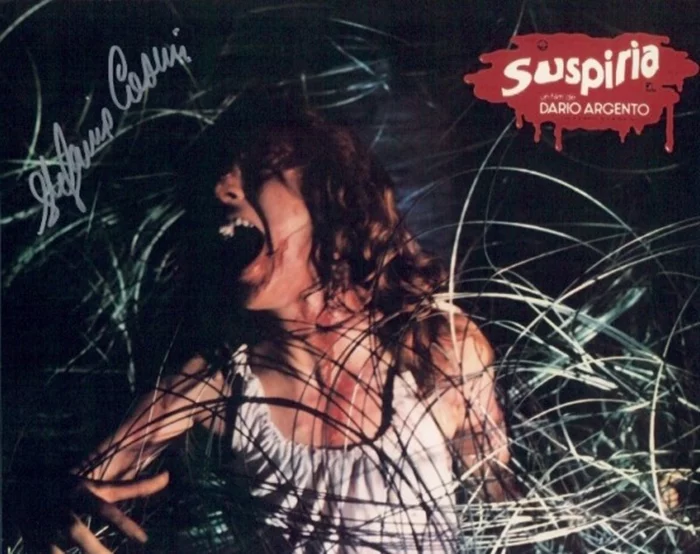 Stefania Casini autograph