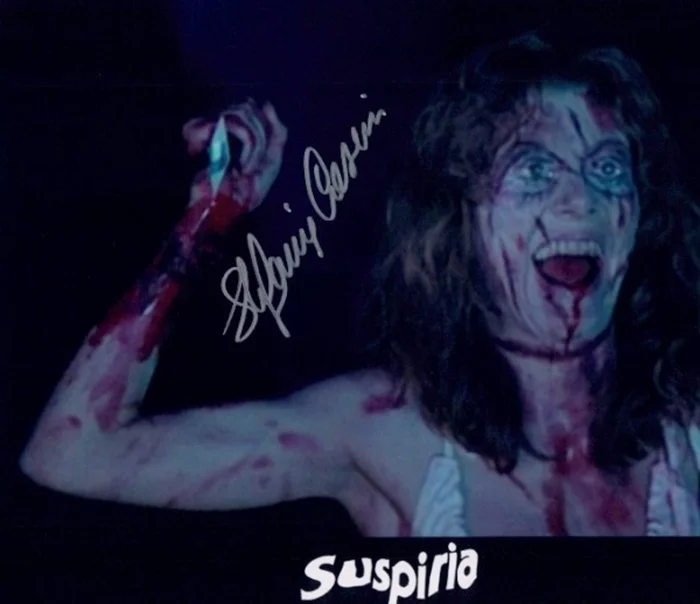 Stefania Casini autograph