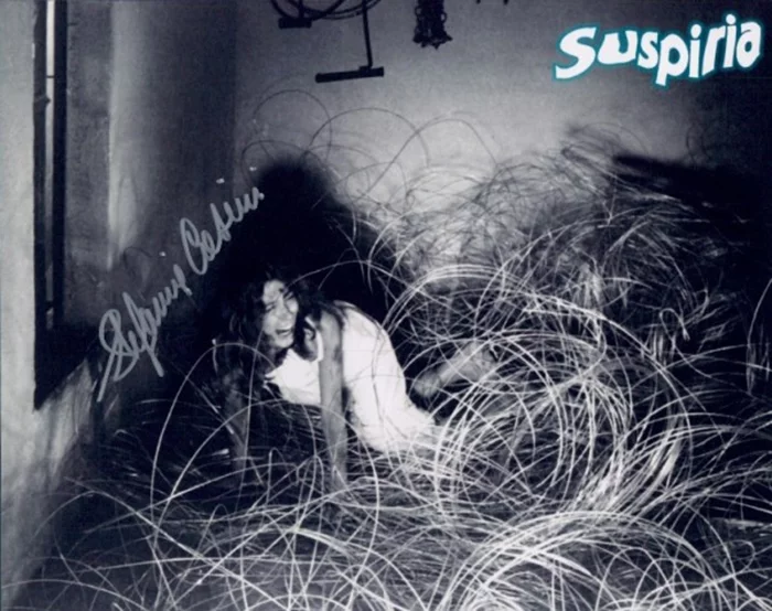 Stefania Casini autograph