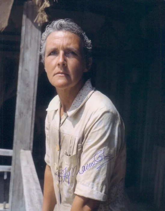 Stephanie Cole autograph