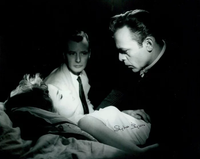 Sylvia Syms autograph