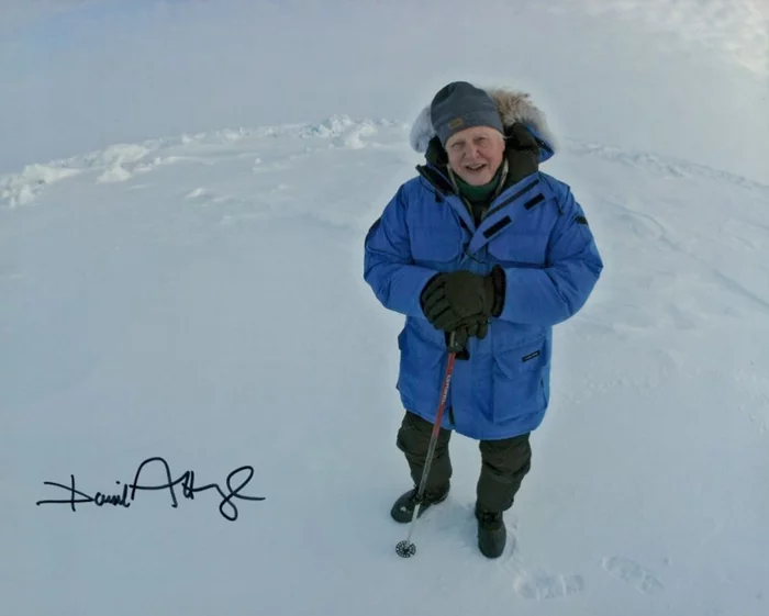 David Attenborough autograph