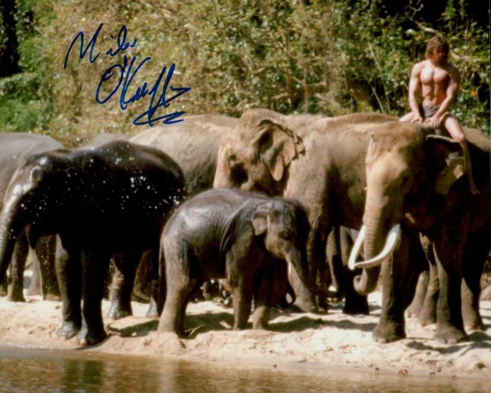 Miles O'Keeffe autograph