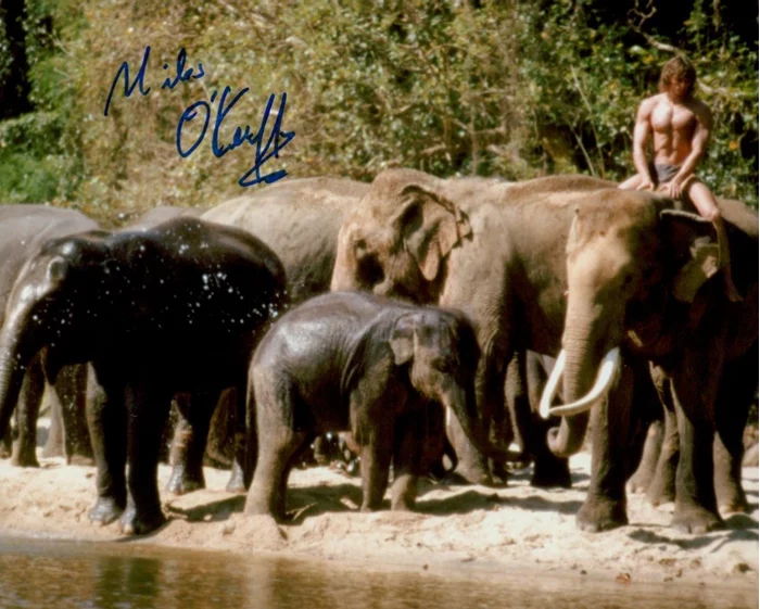 Miles O'Keeffe autograph