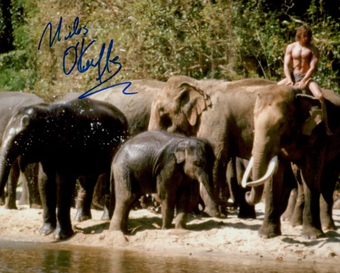 Miles O'Keeffe autograph