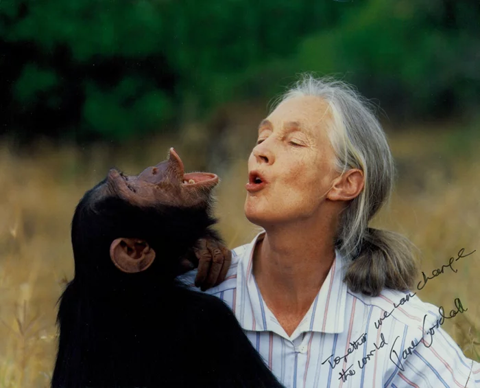 Jane Goodall autograph