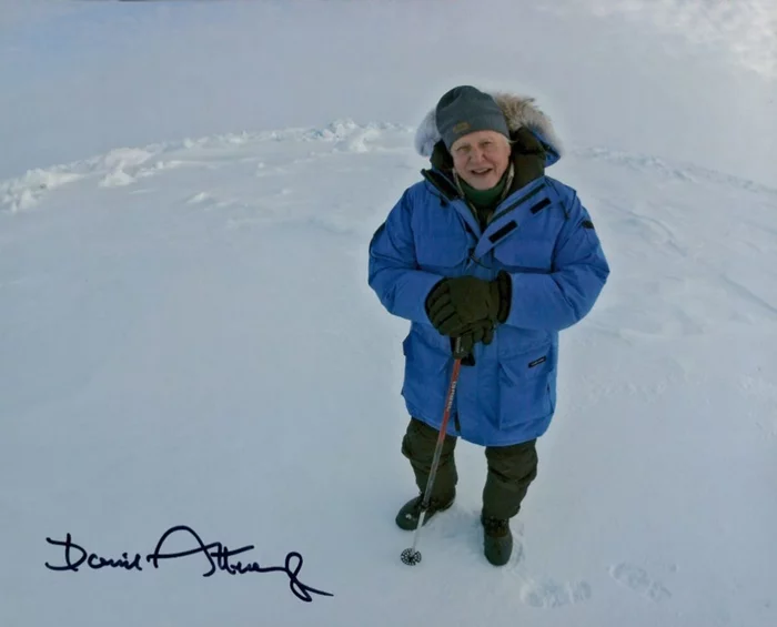 David Attenborough autograph
