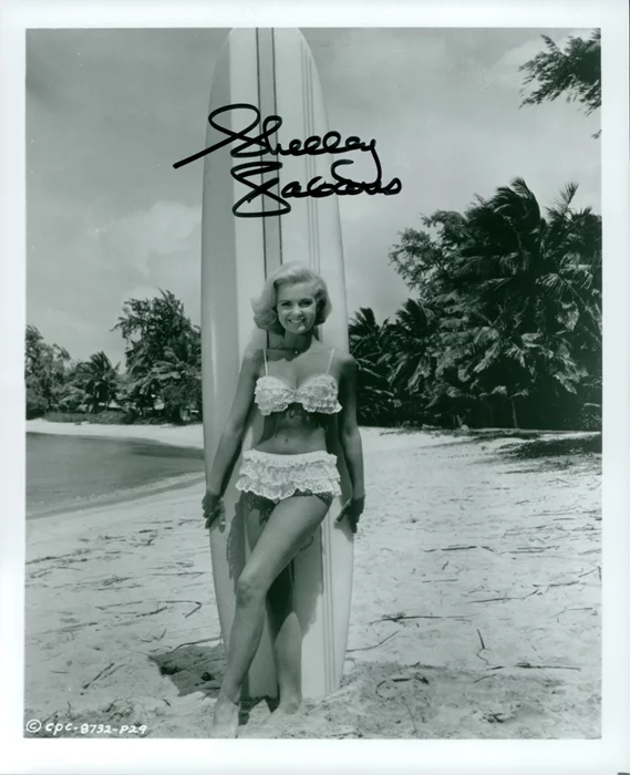 Shelley Fabares autograph