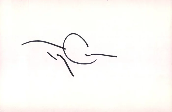 Terry Crews autograph