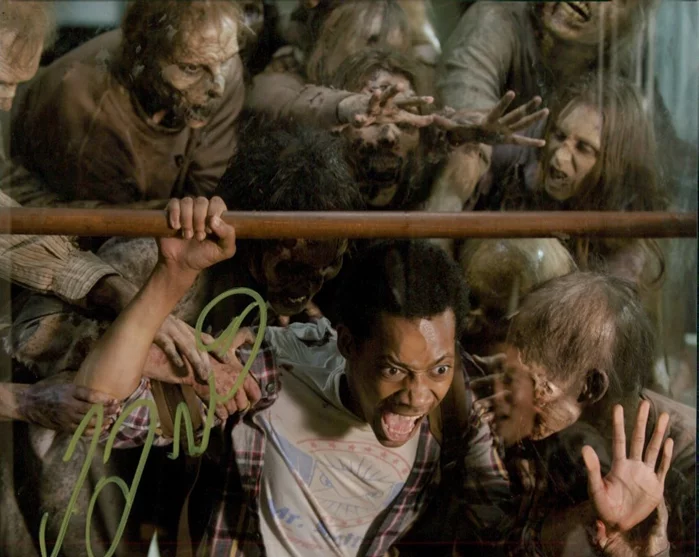 Tyler James Williams autograph