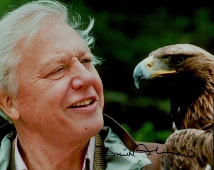David Attenborough autograph