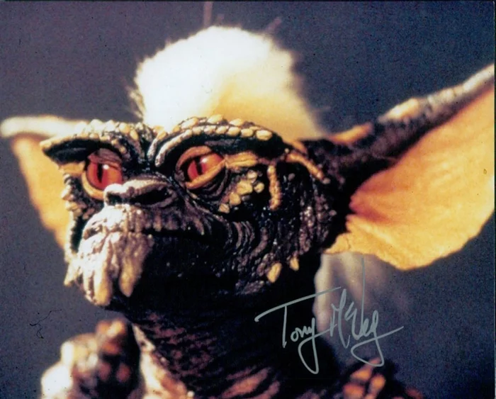 Tony McVey autograph