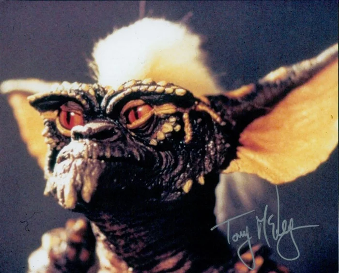 Tony McVey autograph