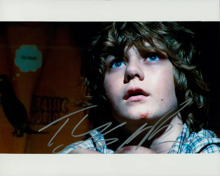 Ty Simpkins autograph