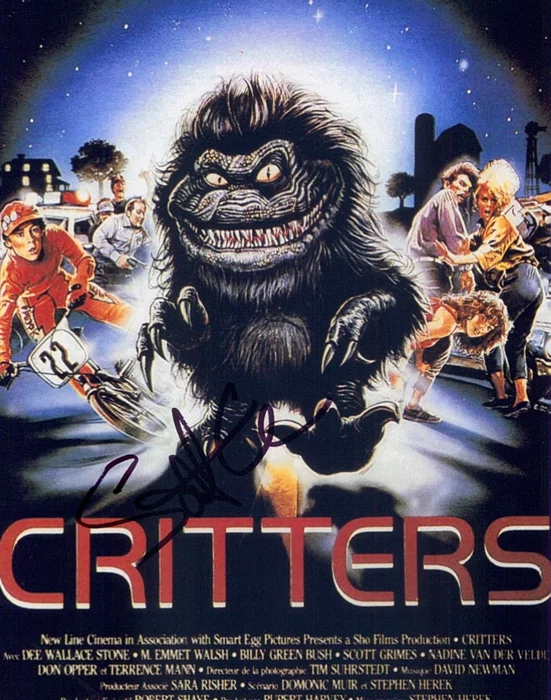 Scott Grimes autograph