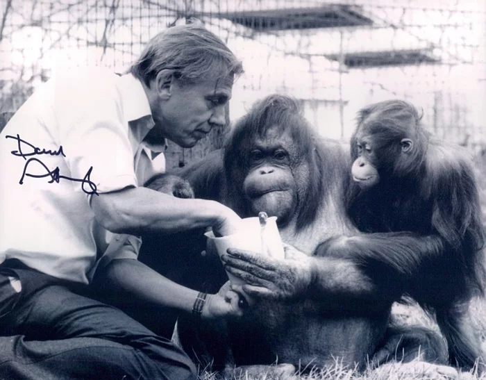 David Attenborough autograph