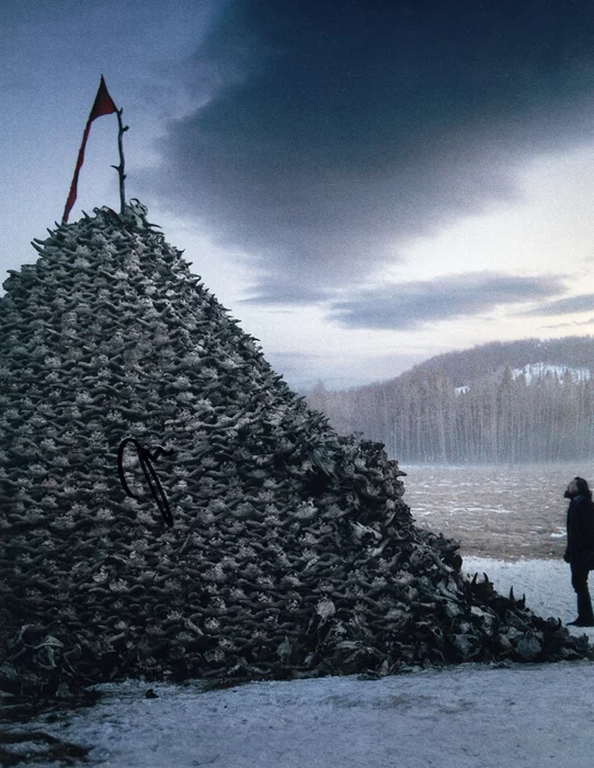 Leonardo DiCaprio autograph