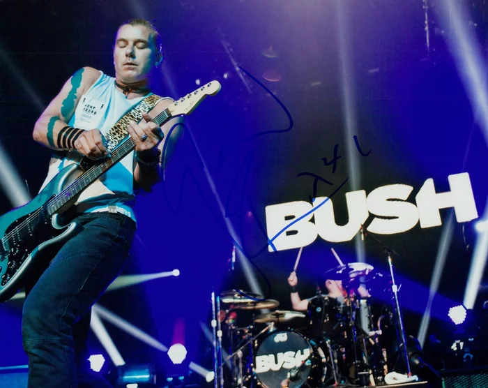 Gavin Rossdale autograph