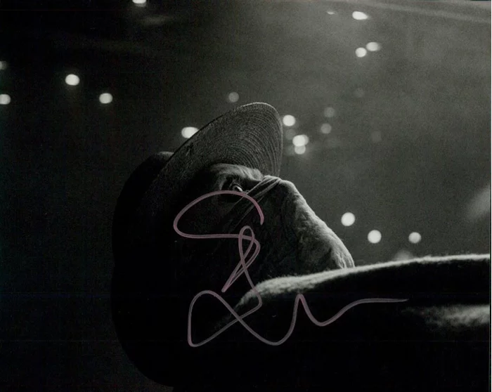 Stephen Merchant autograph
