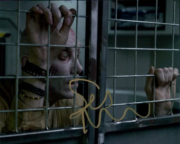 Stephen Merchant autograph