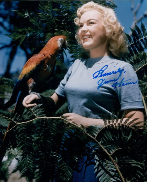 June Haver autograph