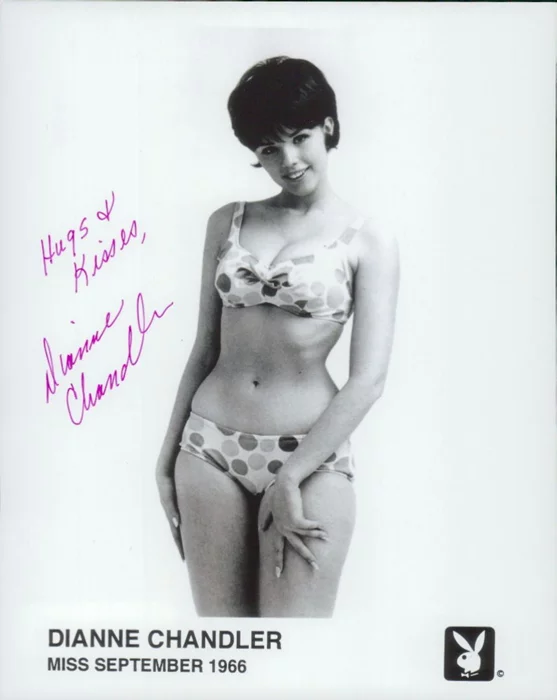 Dianne Chandler autograph