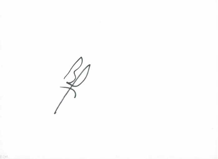 Brad Pitt autograph