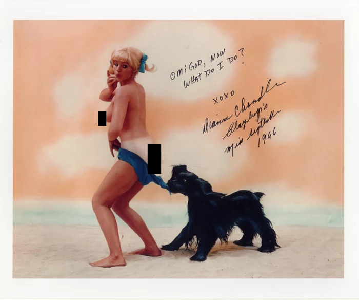 Dianne Chandler autograph