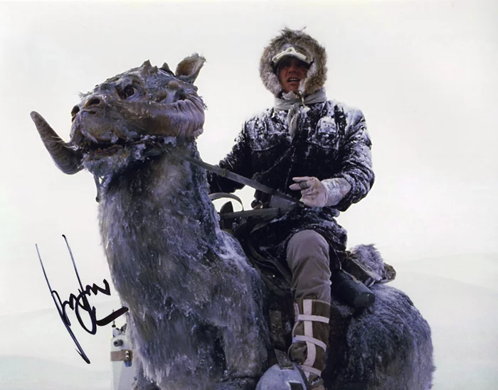 Harrison Ford autograph