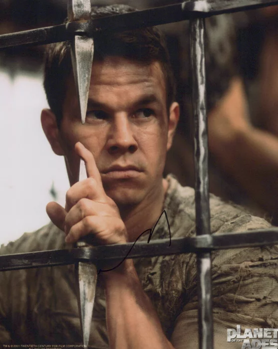 Mark Wahlberg autograph